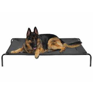 dog bed cot dog bed cot